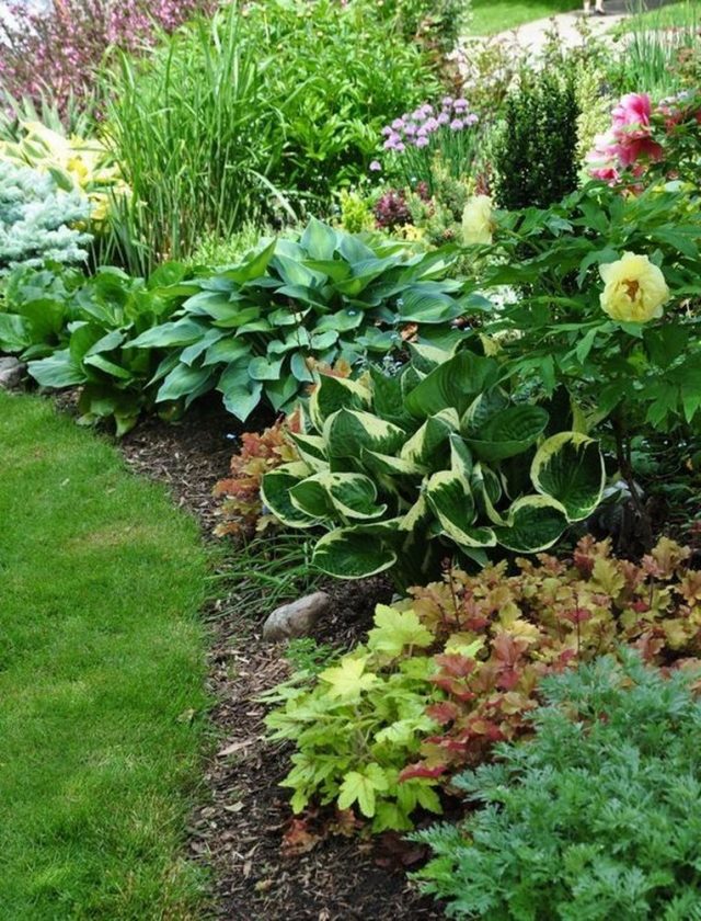 shade garden shade garden