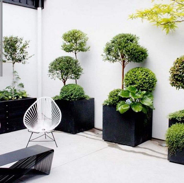 21+ Cool Modern Small Terrace Gardening Ideas Can Copy