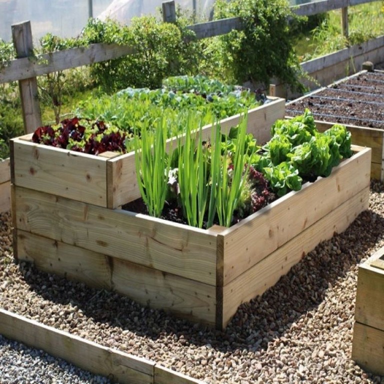 35+ Perfect Ideas To Grow Veggies In Your Garden